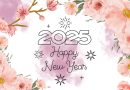 2025년 봄 유흥계의 화두 – 변화하는 커뮤니티 소통 방식